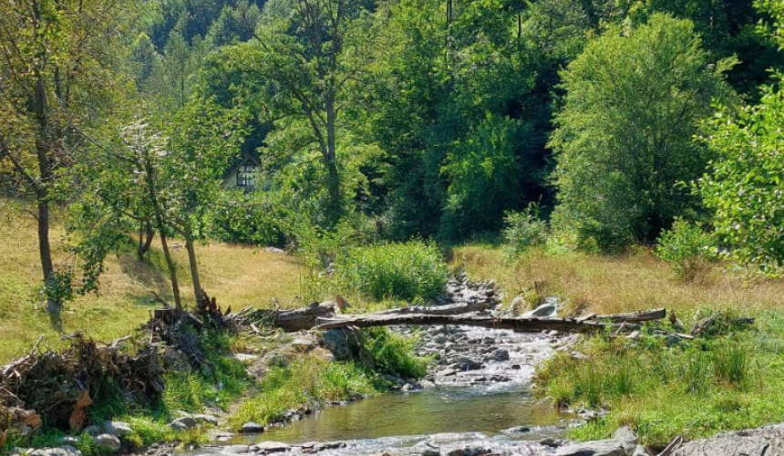 The National Park Sharr Mountains is rich in endemic species, rivers and lakes © Gaia Kosovo