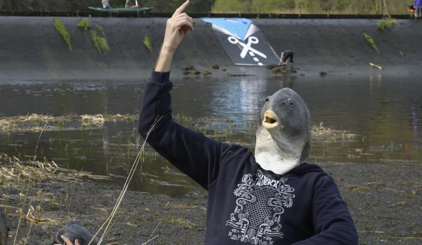 Remove it: Today, the Kamp is obstructed in many places and interrupted by weirs. © Matthias Schickhofer