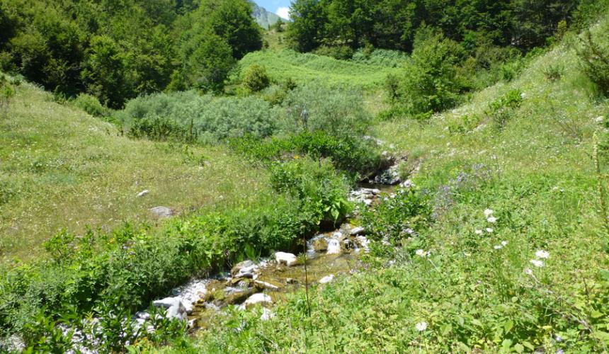 Streams like this would be destroyed by HP projects inside Mavrovo NP © Theresa Schiller