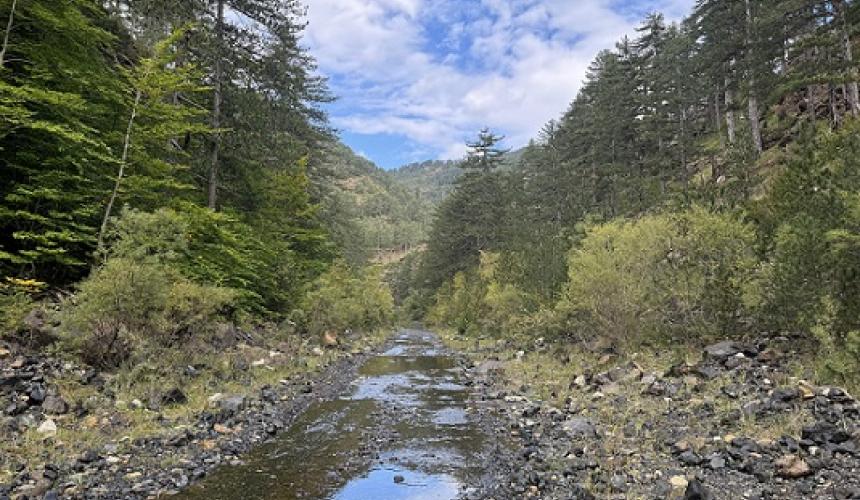 The once free-flowing river has been reduced to a narrow stream just 1.3 meters wide due to lack of ecological flow from the Aoos Springs dam © MedINA