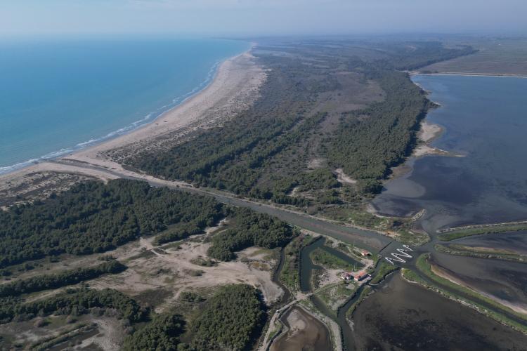 Vjosa-Narta Protected Landscape, part of the most valuable wild river delta in Europe. Photo: A. Roshi