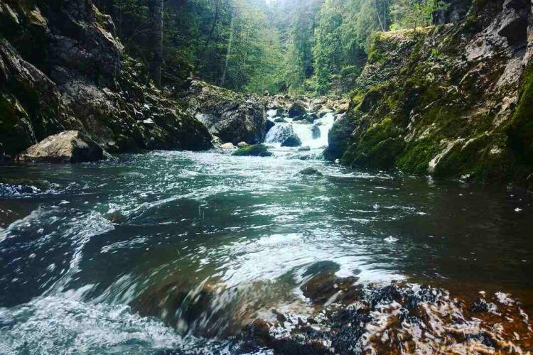 Stupčanica River, Bosna River Basin, Bosnia and Herzegovina. Photo: CZZS
