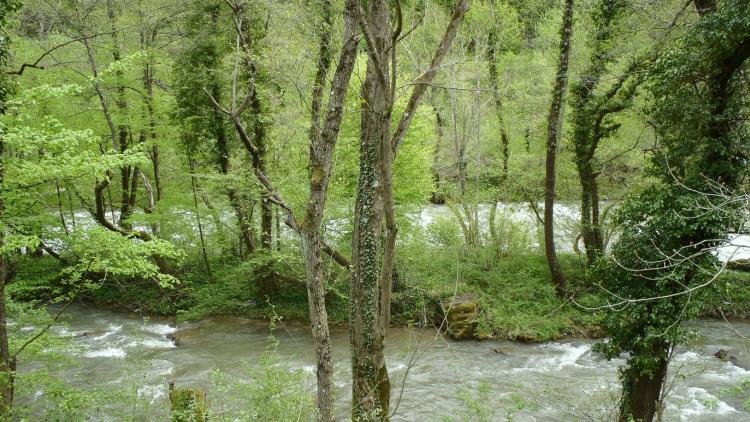The river Vrbas in the area of the planned dam. © Pippa Gallop