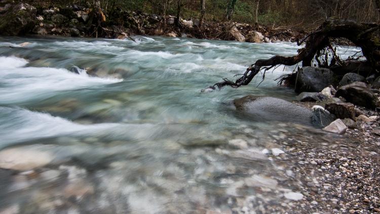 The Doljanka river in Bosnia and Herzegovina is at risk. Sign the petition! © Anes Podic 