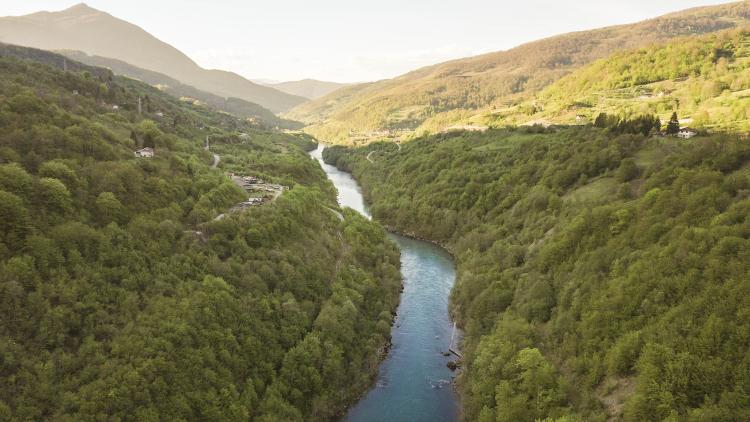 The Drina is the most important lifeline for the endangered Huchen (Hucho hucho). The species is particularly vulnerable to dam construction © Matic Oblak