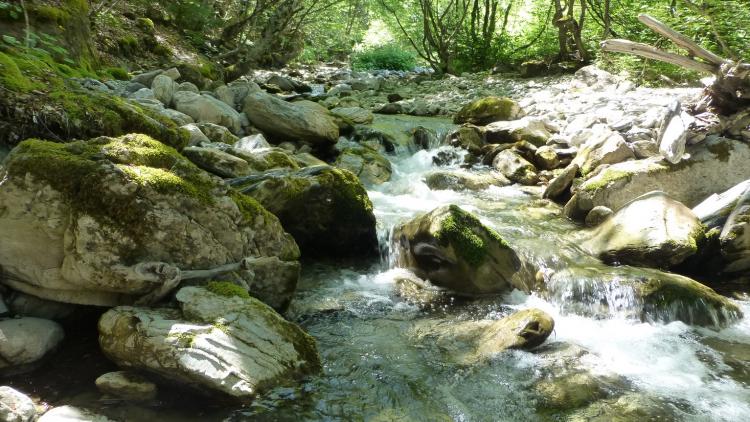 Streams like this would be destroyed by HP projects inside Mavrovo NP © Theresa Schiller