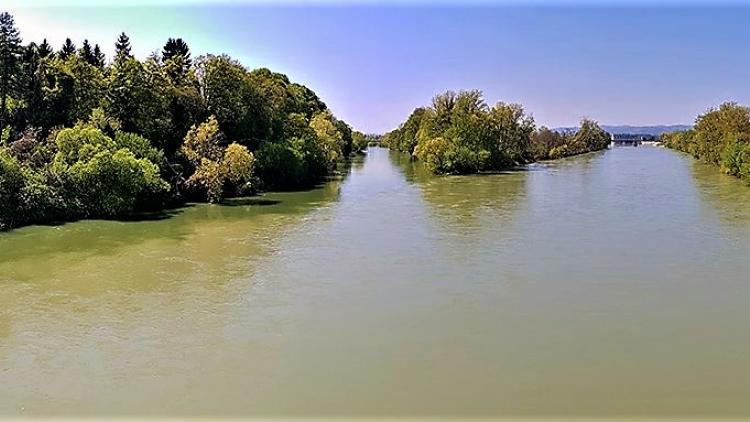 Confluence of Sava and Krka rivers in Slovenia. The Sava river provides important habitat to fish species © Marko Zupančič
