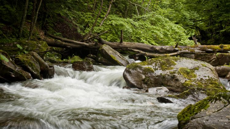 Foto: Martin Engelboden