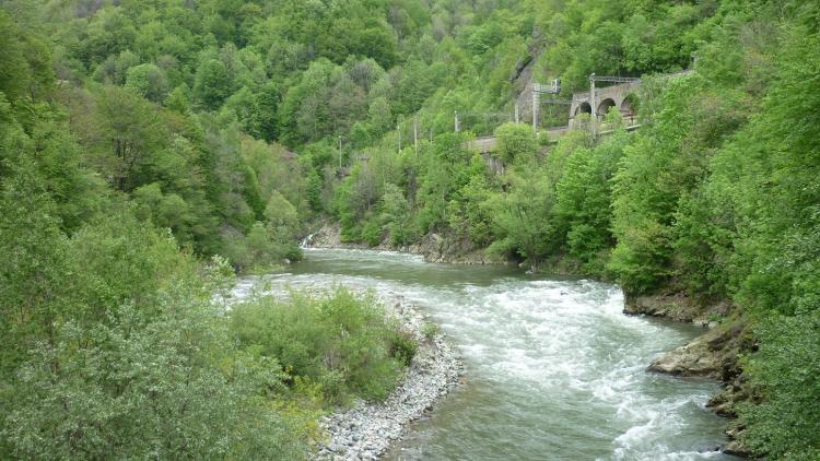 Jiu River in Jiu Gorge © Calin Dejeu