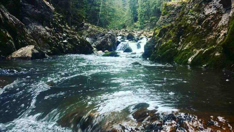 Stupčanica River, Bosna River Basin, Bosnia and Herzegovina. Photo: CZZS