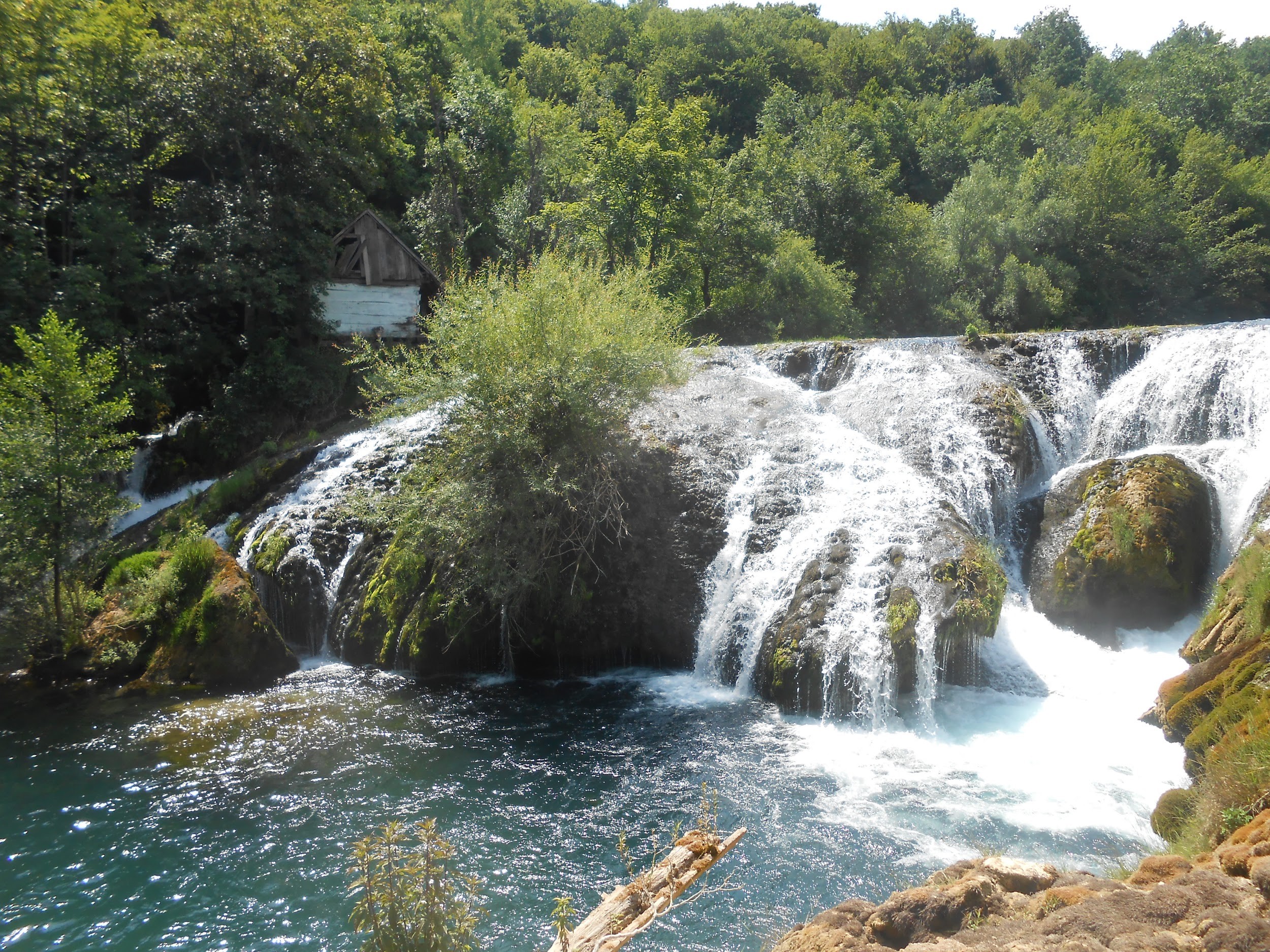 The highest of these tufa barriers is the Šušnjar waterfall, which reaches up to 13 metres above the water below. © WWF Adria
