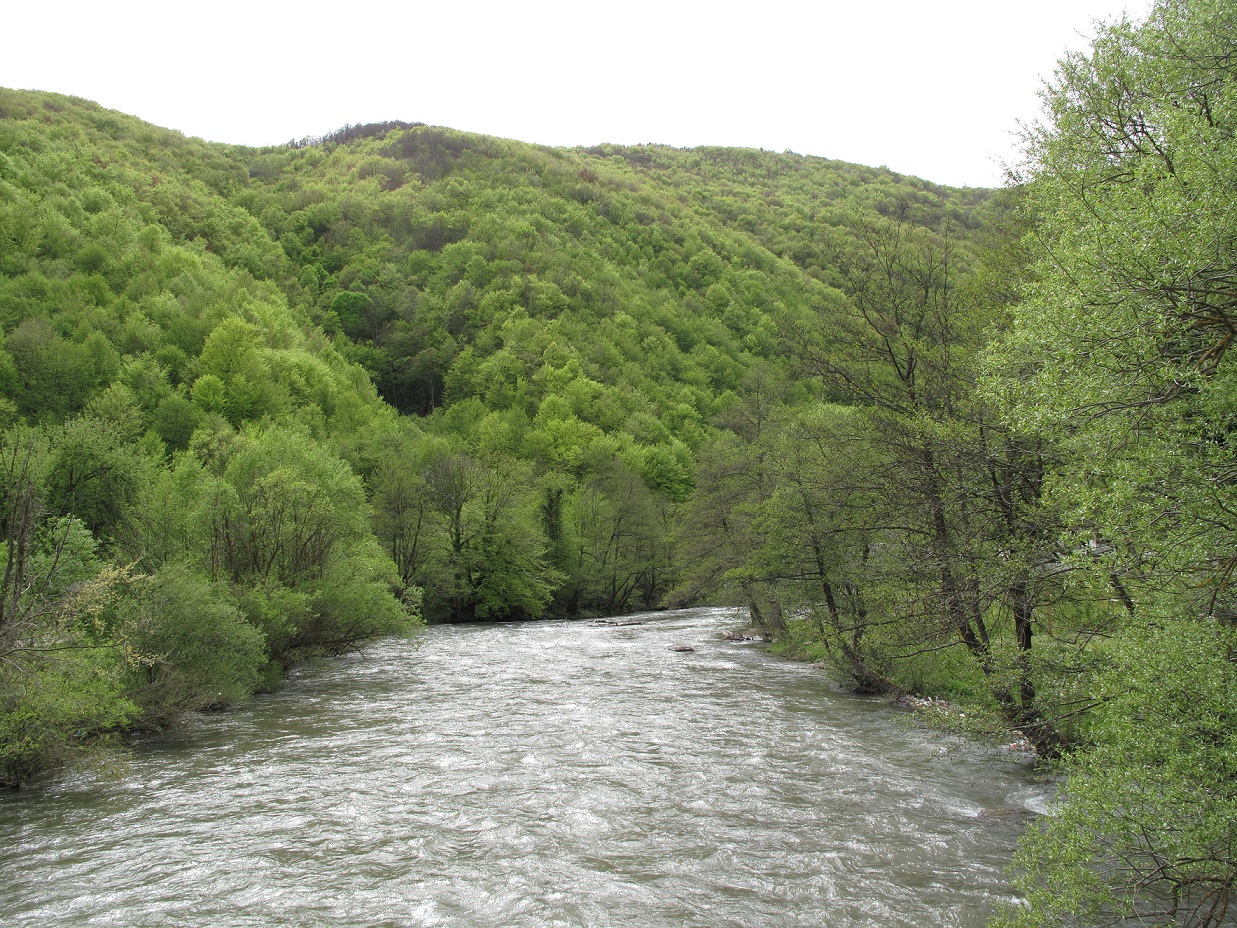 Looking downstream the Vrbas river in Bosnia-Herzegovina. A planned dam would endanger critical fish habitats and is being opposed by locals. © Igor Vejnovic