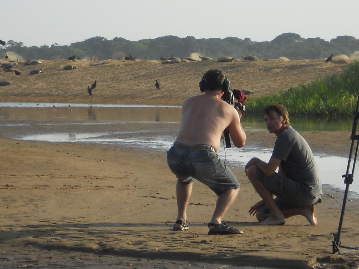 Each year, some 30,000 female Amazonian turtles come to the Xingu’s sand islands to lay their eggs. About 500,000 baby turtles hatch per year. With the Belo Monte dam, the sand islands are disappearing – and with them, the turtles. 