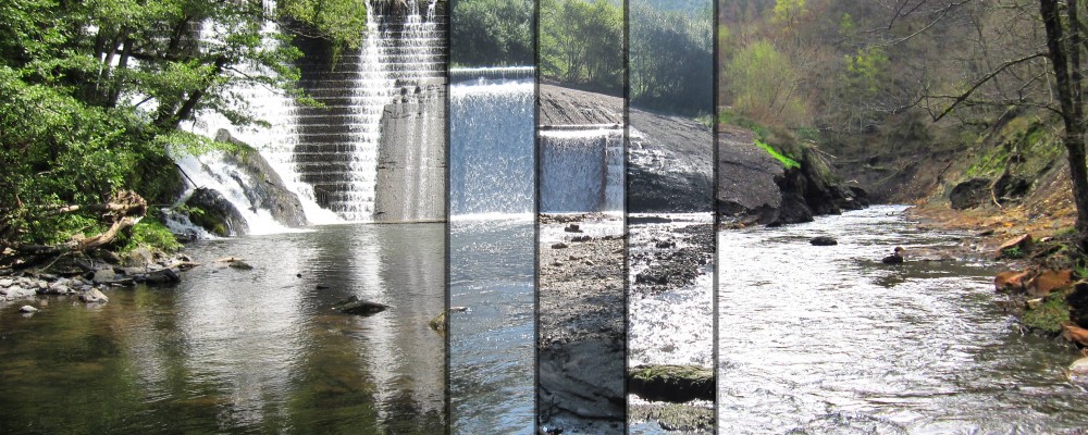 Step by step removal of Intura dam (2013-2016), after removal fish community recovered and spawning grounds are accessible again, Transboundary project Spain-France-Andorra, co-financed by EU - FEDER (photo credits) Basque Water Agency