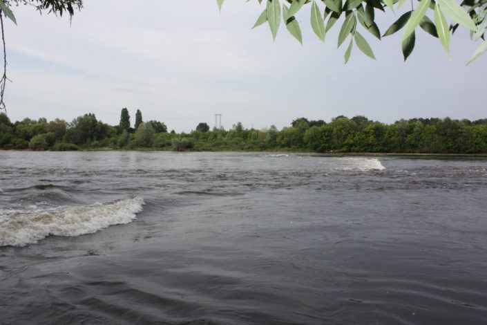 Maisons Rouges 10 years after removal (c) Roberto Epple ERN-France
