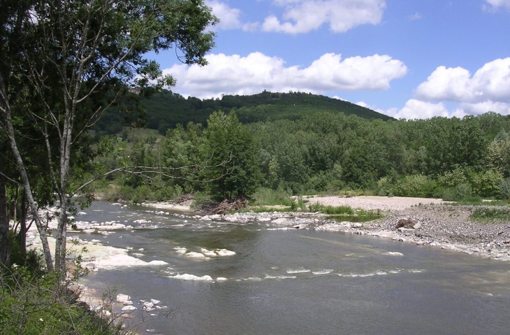 One year after removal the river is getting back to its free course © SOS-Loire-Vivante-ERN France