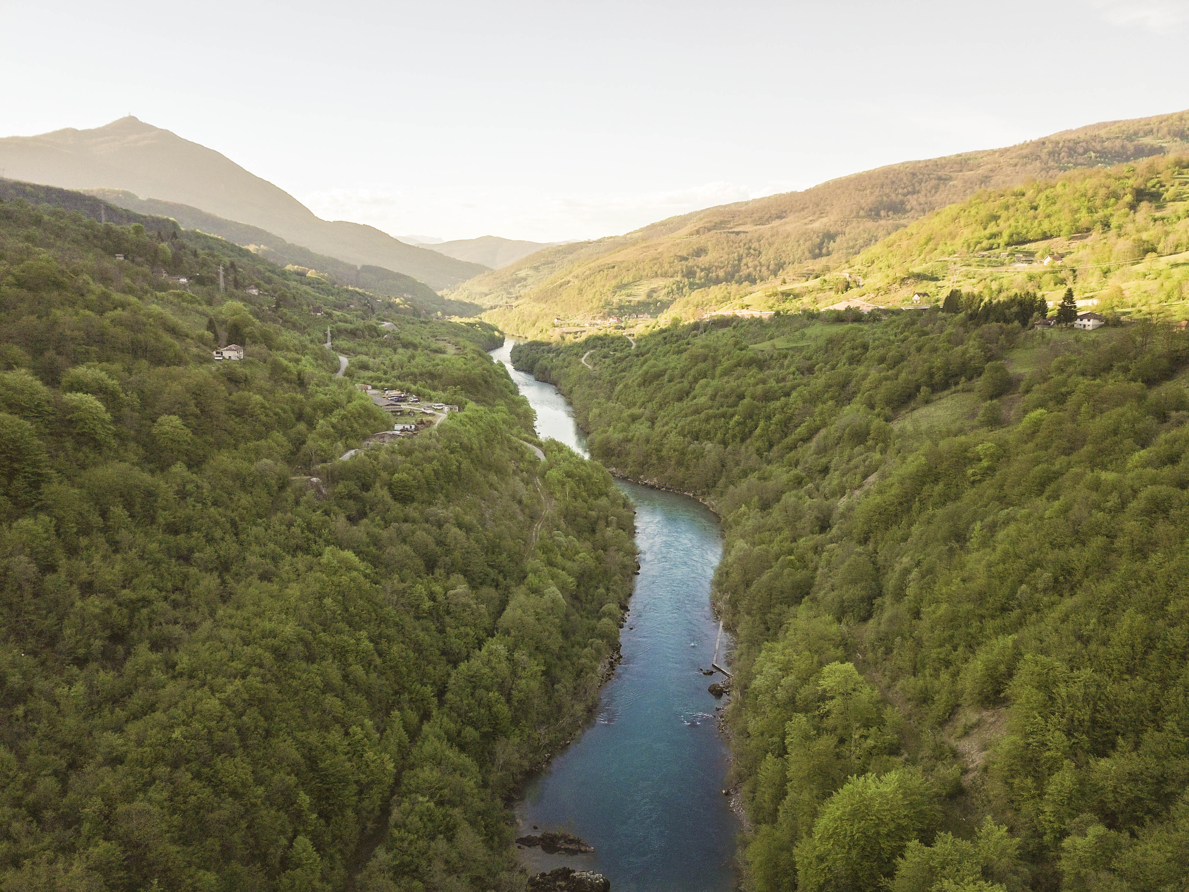 Die Drina ist die wichtigste Lebensader für die vom Aussterben bedrohten Huchen (Hucho hucho). Die Art ist besonders anfällig für Staudammbau © Matic Oblak