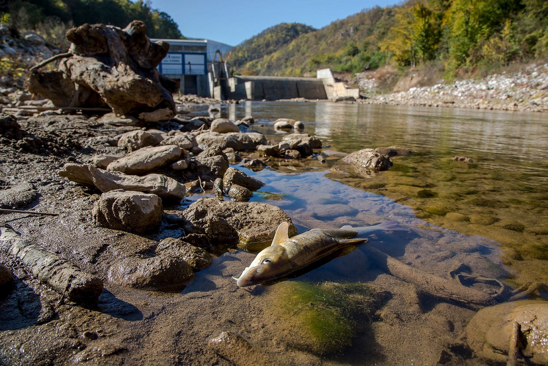 The Jadar dam in Bosnia-Herzegovina. Hydropower plants destroy the biodiversity of river landscapes. 20-30 fish species are likely to become extinct if the plants projected in Europe are to be realized. © Amel Emric