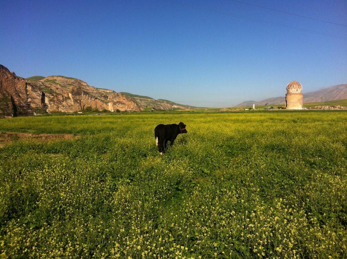 Under fierce resistance, the historic Zeynel Bey Tomb has been re-located in May 2017 © Ulrich Eichelmann