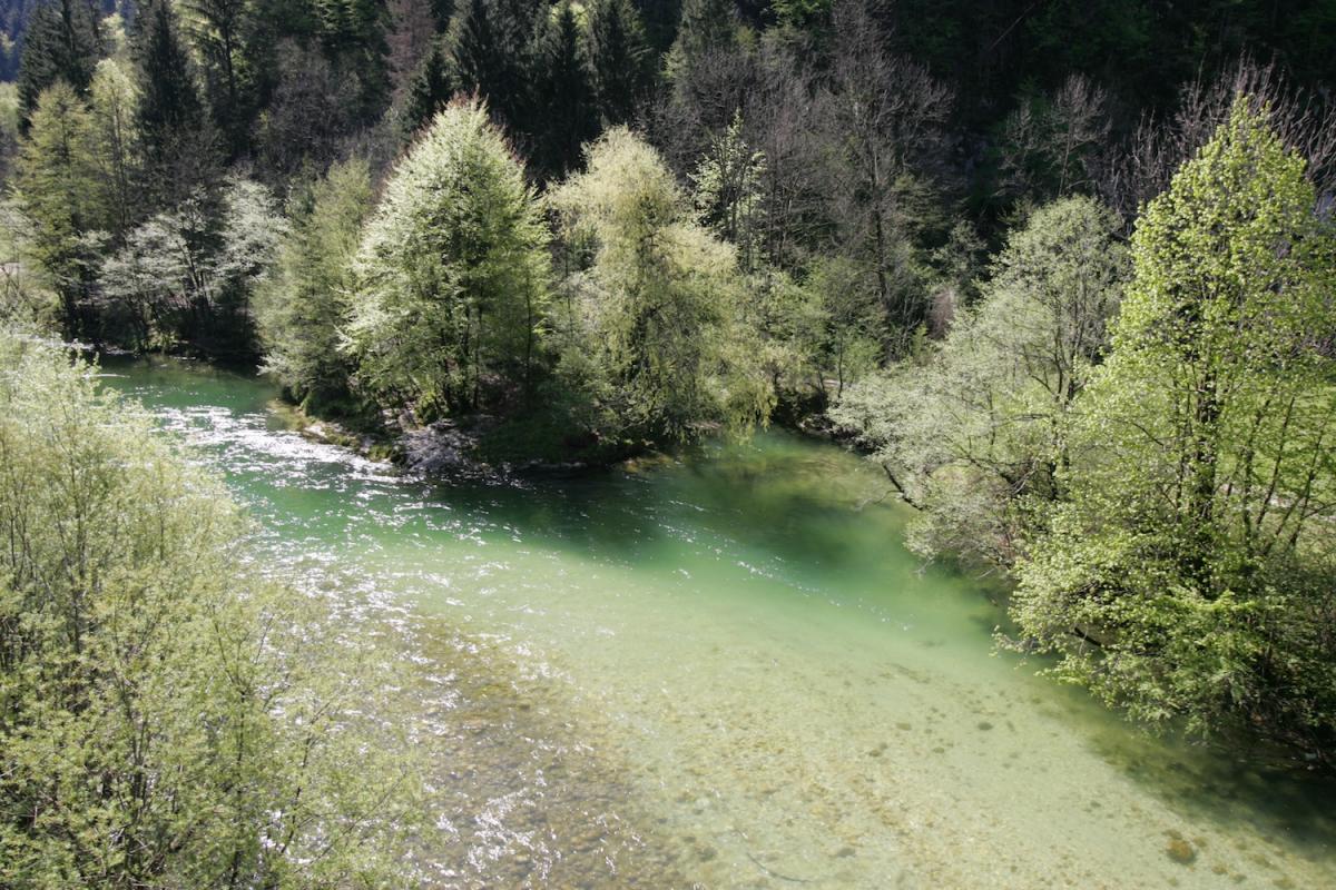 Sava Bohinjka/Slovenia © Miha Ivanc