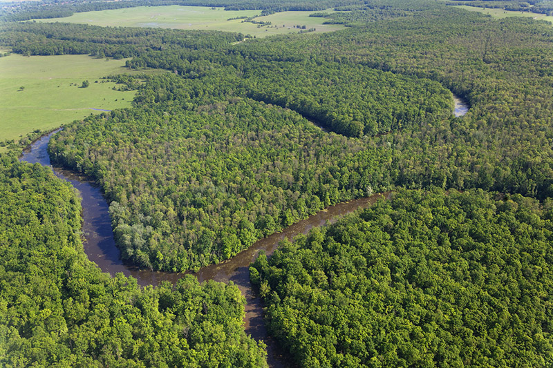 The best flood protection system: intact floodplain forests along the Sava © Goran Safarek