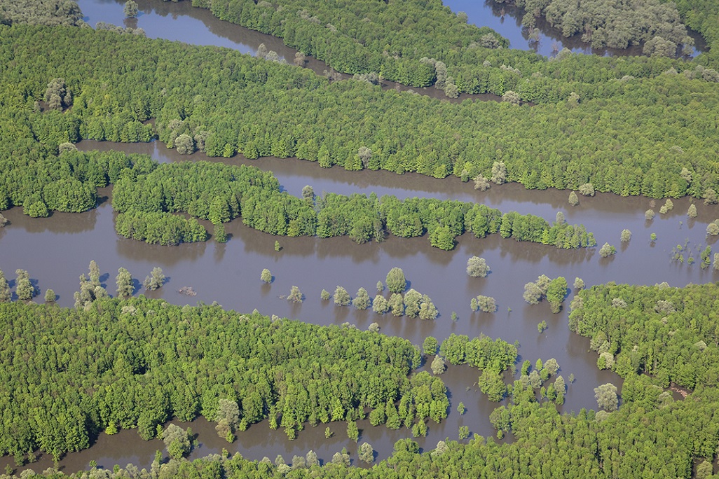 The floodplains of the Sava offer a unique potential for natural flood retention. © Goran Šafarek