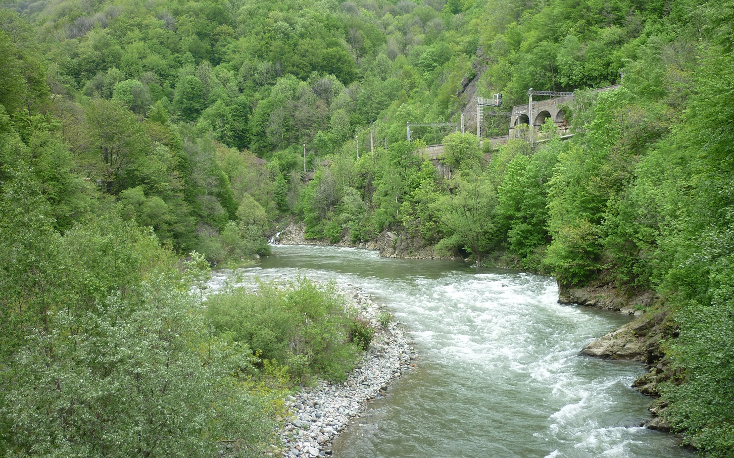 Jiu River in Jiu Gorge © Calin Dejeu