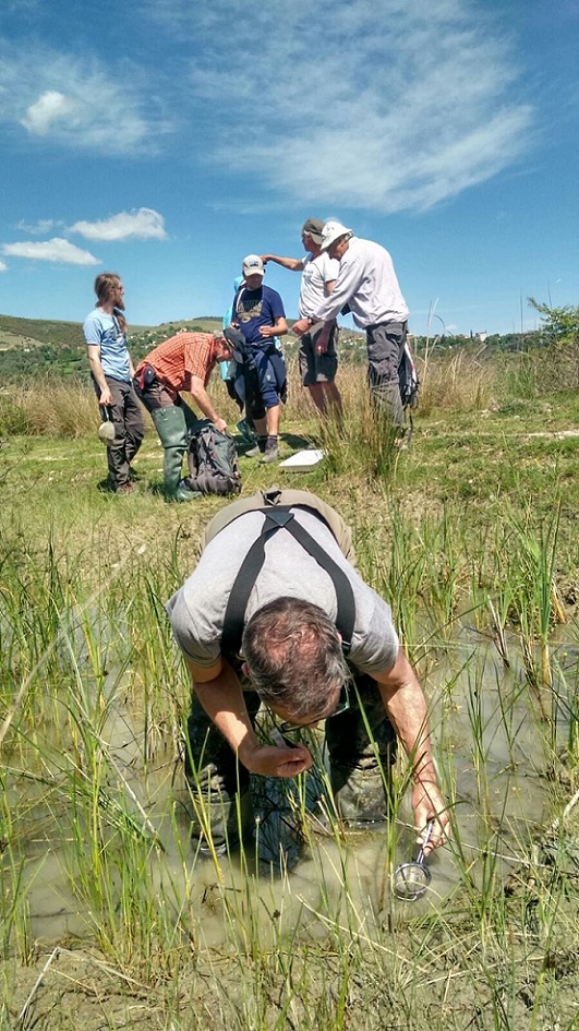 Ulrich Heckes/Büro H2 München (im Vordergrund) auf der Suche nach Wasserinsekten. © Cornelia Wieser