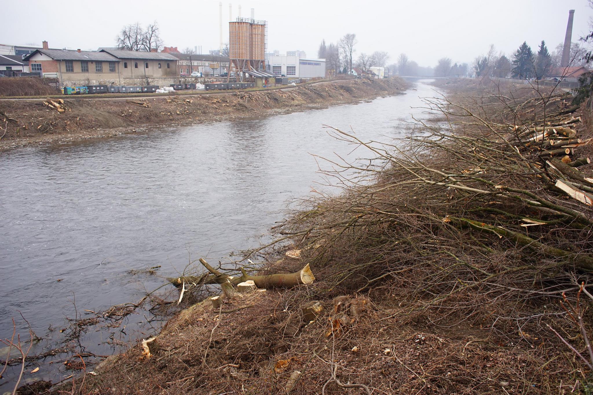 Für die Dokumentation dieser Naturzerstörung steht Fotograf Franz Keppel nun vor Gericht. Foto: Franz Keppel